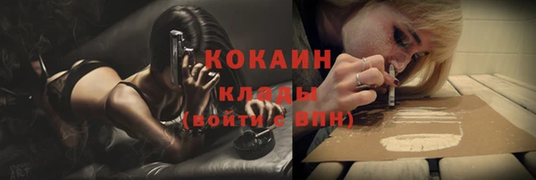 дживик Балахна