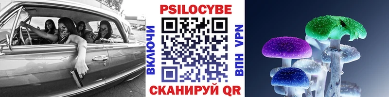 купить закладку  Кыштым  Псилоцибиновые грибы Psilocybine cubensis 